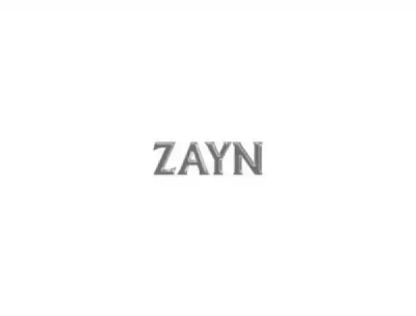 ZAYN - Good Years